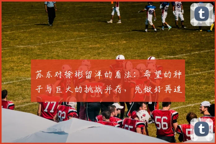 苏东对徐彬留洋的看法：希望的种子与巨大的挑战并存，先做好再追求完美